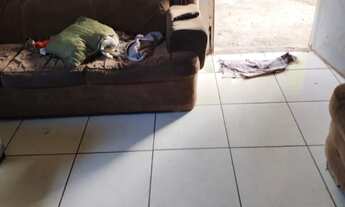 Imagem 3: Casa à Venda - Carolina Parque Extensão, Goiânia