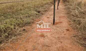 Imagem 3: Fazenda 116 alqueires (561 hectares) Paraúna - GO