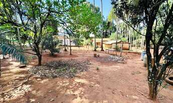 Imagem 3: Chácara Produtiva à Venda em Rio Verde