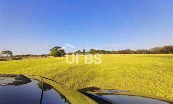 Imagem 6: Araguari/MG: Fazenda com Potencial Triplo - Mineração, Agropecuária e Plantio! Descubra um