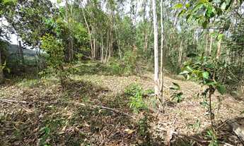 Imagem 4: BLACK Chácara, terra fria, Domingos Martins, tijuco, escriturada, negocio aceito oferta l