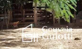 Imagem 4: Chácara em Abadiânia: 1 Alqueire , variedades de árvores frutíferas, 2 poços artesianos e