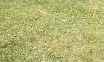 Imagem 6: Casa em Vargem Grande