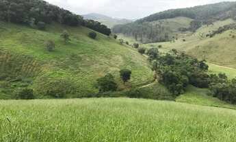 Imagem 5: Venda-se está Fazenda de 91 alqueires em Ipanema /MG