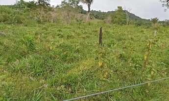 Imagem 4: TERRENO À VENDA DE 492ha - AMAJARI