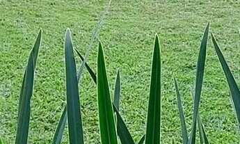 Imagem 7: Chácara no Bairro Chácara Fernão Dias, Bragança Paulista/SP