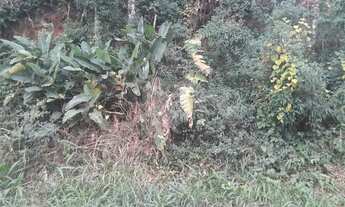 Imagem: Terreno à venda em Roseira - SP