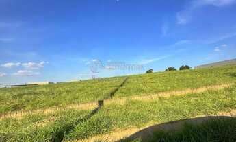 Imagem 5: Terreno Área em São José do Rio Preto