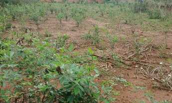 Imagem 5: Lote no morada nova