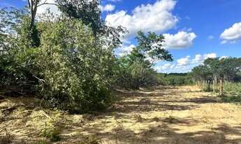 Imagem 7: Vendo excelentes Chácaras a partir de 1.000 m², topografia plana, terra de cultivo