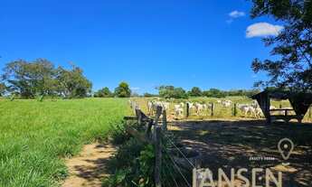 Imagem 6: Fazenda à venda Tocantins permuta