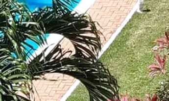 Imagem 6: Imóvel para venda com 41 metros quadrados com 1 quarto em Cupe - Ipojuca - PE