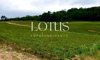 Imagem 7: 83C- SEU TERRENO COM ENTRADA DE UM AUTOMÓVEL