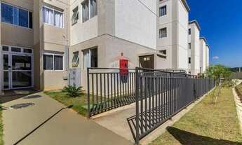 Imagem 3: Apartamento Encantador em São José dos Pinhais!