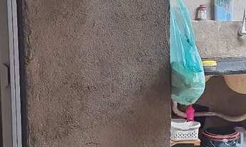 Imagem 3: Casa individual Casa com 2 dormitórios