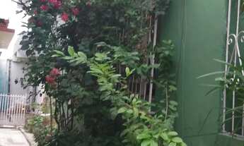 Imagem 7: Casa com kitnet Casa com 4 dormitórios