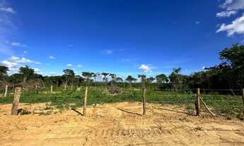 Imagem 4: Vendo excelentes Chácaras a partir de 1.000 m², topografia plana, terra de cultivo