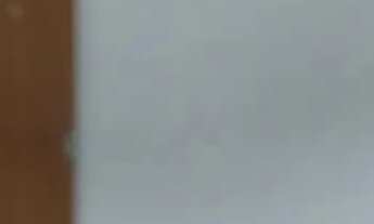 Imagem 7: Bosque das Palmas / Ponta Negra - Manaus - AM