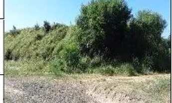 Imagem: Oportunidade Única em TAMBAU - SP Tipo