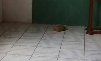 Imagem 5: Alugo casa grande