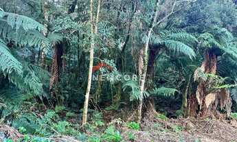 Imagem 4: Lote em Rua 3 do Alpes - Alpes - São Francisco de Paula/RS