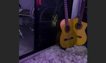 Imagem 4: Ed Saquarema Meireles liga 9 8 7 4 8 3 1 0 8 Diego9989f