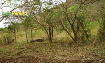 Imagem 4: FAZENDA Á VENDA EM BANDEIRANTES - MS - 1.020 HECTARES (DUPLA APTIDÃO