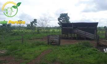 Imagem 3: FAZENDA À VENDA EM BREU BRANCO - PA - 290 HECTARES (DUPLA APTIDÃO