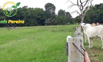 Imagem 2: FAZENDA À VENDA EM MARIANÓPOLIS - TO- DE 484 HECTARES (DUPLA APTIDÃO