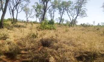 Imagem 4: FAZENDA À VENDA EM CENTENARIO - TO - DE 246 ALQUEIRÕES (Dupla Aptidão
