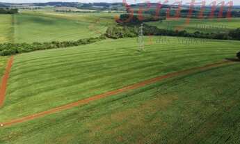 Imagem 2: 16 alq. com aprox. 14 alq. mec. por 3.200 sacas o alq