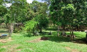 Imagem 6: - vendo sitio em viana piapitangui