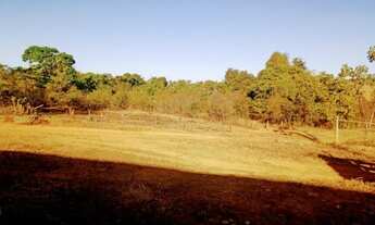 Imagem 5: Terreno 161 Ha em Martinho Campos