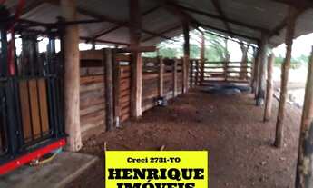 Imagem 5: Fazenda no Vale do Araguaia no Tocantins