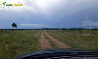 Imagem 6: FAZENDA À VENDA EDM TUPIRATINS - TO -2.662 HECTARES (DUPLA APTIDÃO