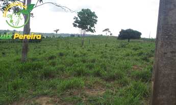Imagem 2: FAZENDA À VENDA EM BREU BRANCO - PA - 290 HECTARES (DUPLA APTIDÃO