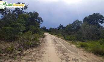 Imagem 7: FAZENDA À VENDA EDM TUPIRATINS - TO -2.662 HECTARES (DUPLA APTIDÃO