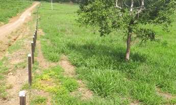 Imagem 7: FAZENDA À VENDA EM BREU BRANCO - PA - 290 HECTARES (DUPLA APTIDÃO
