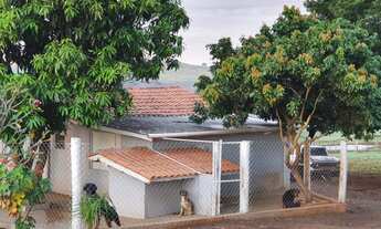 Imagem 5: Chácara 4 alqueires