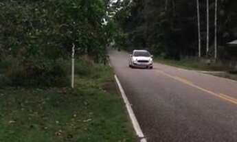 Imagem: Vendo ou alugo, Lindo sítio c/ olho x27