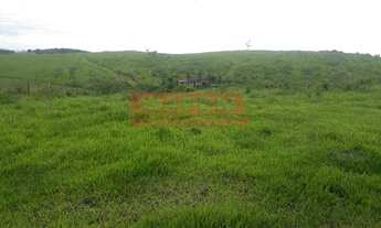 Imagem: FAZENDA COM 9,5 ALQUEIRES EM SILVA JARDIM