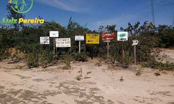 Imagem 4: FAZENDA Á VENDA EM SÃO DESIDÉRIO - BA - DE 10.204 HECTARES (Lavoura