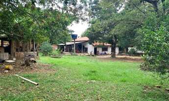 Imagem: - vendo sitio em viana piapitangui