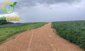 Imagem 7: FAZENDA À VENDA EM BAIXA GRANDE DO RIBEIRO PI - 8.000 HECTARES AGRICULTURA