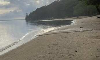 Imagem: CASA EM ILHA DE SAPIOERA ( ILHA DA MADEIRA