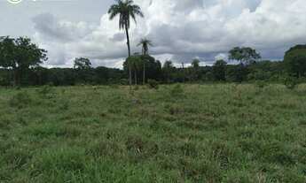 Imagem 6: FAZENDA EM CONCEIÇÃO DO TOCANTINS - TO - 968 HECTARES (DUPLA APTIDÃO