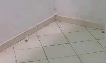 Imagem 5: Aluga-se casa Casa com 1 dormitório