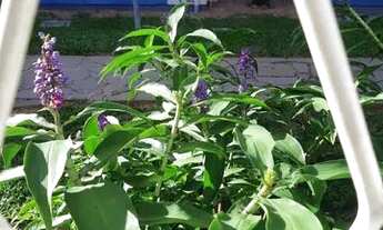 Imagem 7: Residential / Apartment-Porto Alegre--Cristal