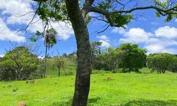 Imagem 5: Terreno em campo verde
