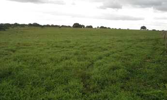 Imagem 3: Fazenda com 80 há , casa, curral, aprisco grande, cercados com pasto, Br 304